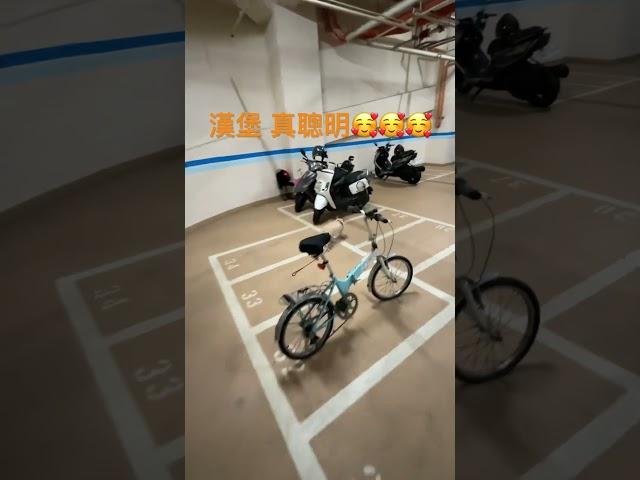 終於不會再上錯車了