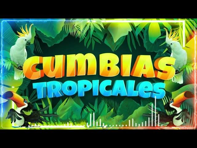 CUMBIAS TROPICALES MIX VIEJITAS TROPICALESACAPULCO TROPICAL, TROPICAL FLORIDA, LOS KARKIS...