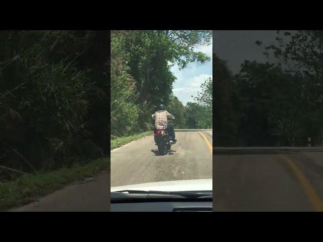 Snake Targets Motorcyclist || ViralHog