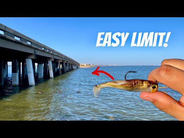 Bridge Fishing for a QUICK Limit!