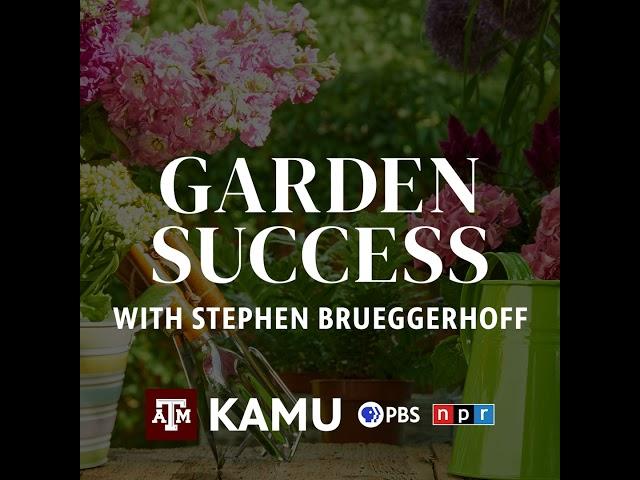 Garden Success – 11/14/2024: Q&A With Stephen Brueggerhoff