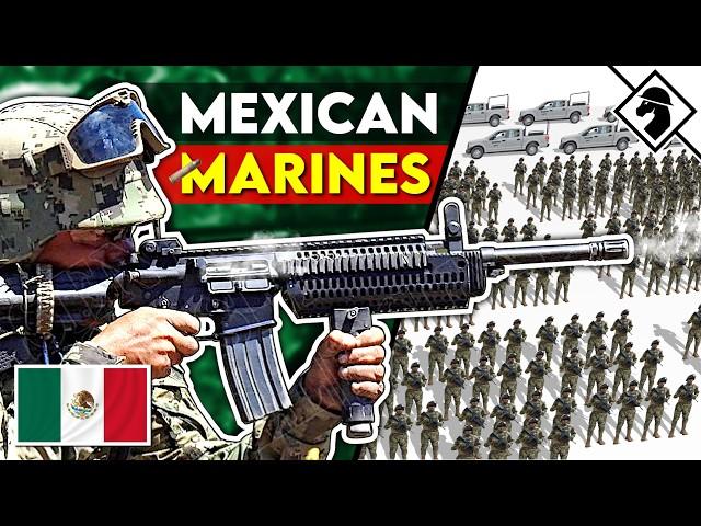 Mexican Marine Rifle Squad Weapons: Bizarro USMC?