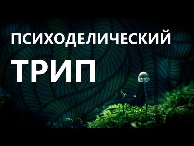 Путешествие сознания. Психоделические трипы