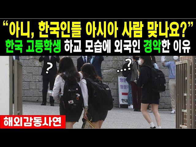 (해외반응) "아니, 한국인들 아시아 사람 맞나요?" 한국 고등학생 하교 모습에 외국인 경악한 이유..