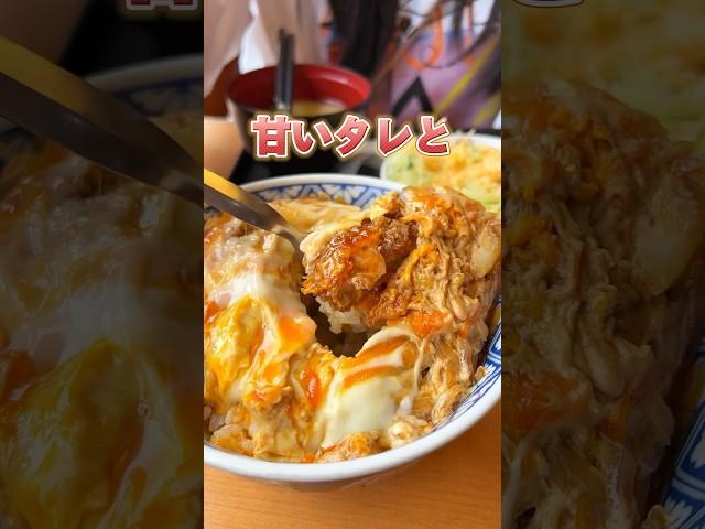 とんかつ好きが集まる【あのお店】 #大分 #大分グルメ #大分県