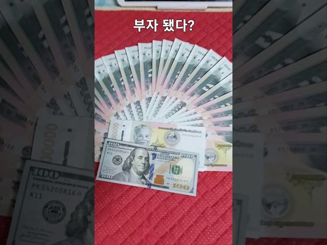 나는 부자다?? 라오스 환율