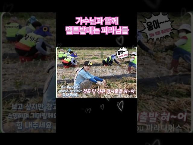 어디든 함께 가요 황영웅의 파라님들