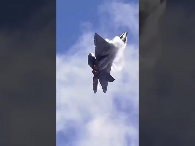 The World's Largest Defence Company