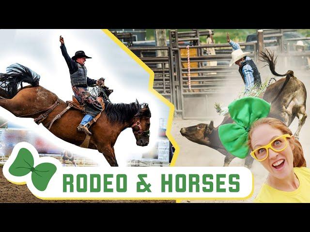 RODEO FOR KIDS | Cowboys Riding Bulls, Cowgirls Riding Horses & Kids Riding Sheep