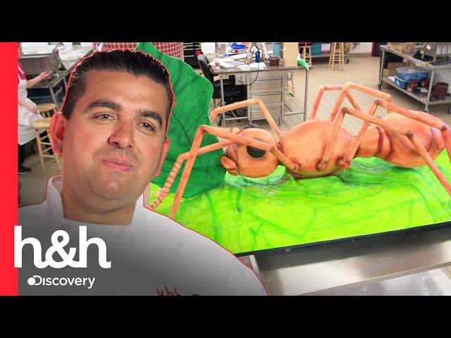 Buddy cria um bolo de "formiga gigante" para museu de ciências naturais | Cake Boss | H&H Brasil