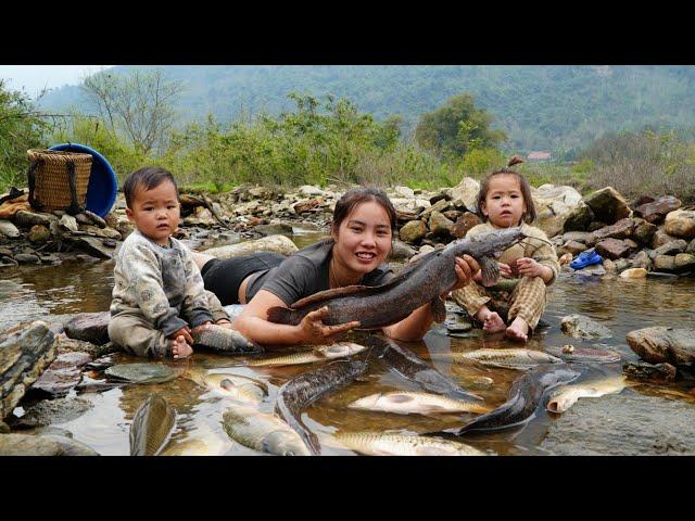 How to block water, catch giant fish and bring them to the market to sell with my little daughter