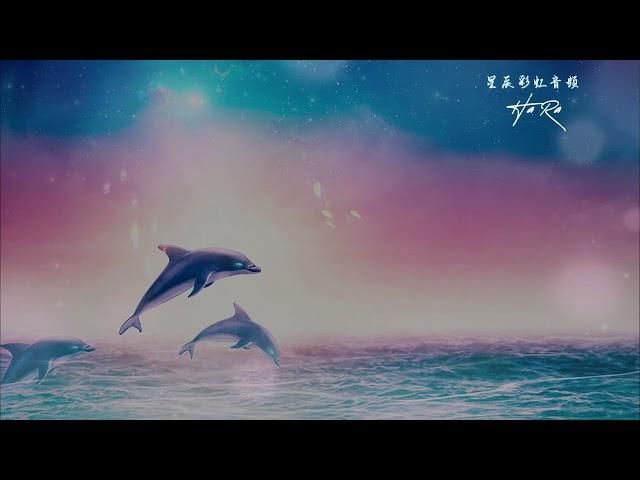 Pink Dolphin Healing Meditation  粉红海豚 爱之疗愈