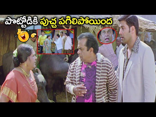 Brahmanandam Non Stop Back to Back Hilarious Comedy Scenes | Telugu Latest Evergreen comedy Scenes