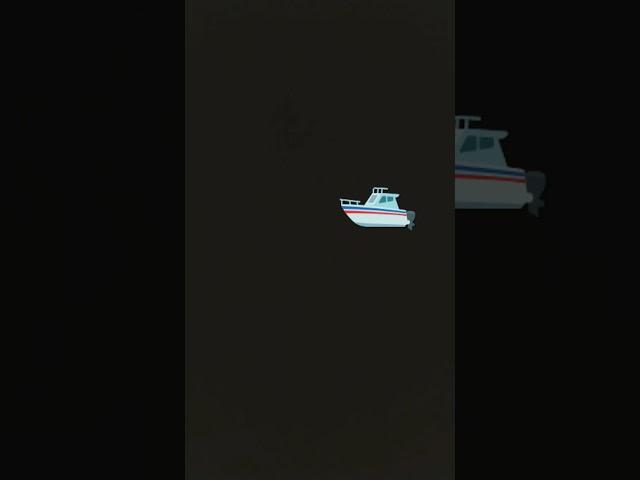 15 ноября 2024 г.