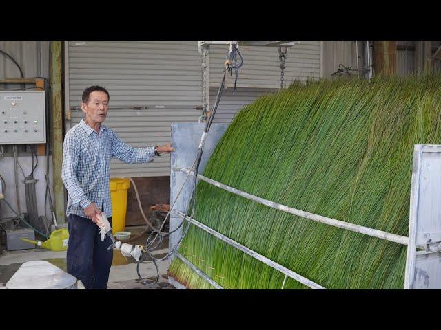 5,760 HOURS OF WORK!? - The Process of Making Japanese Traditional Tatami.