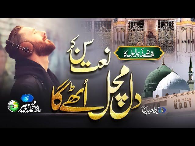 Beautiful Naat - Roze Ki Jaliyon Ka - Hafiz Zubair - Nasheed Club - New Naat Sharif 2025