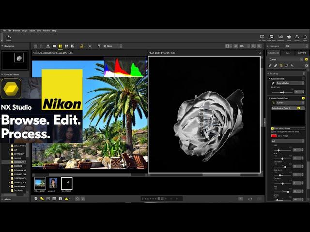 NIKON NX Studio HONEST Review & Full Tutorial For Beginners [IMPORT, LOCAL ADJUSTMENTS TO EXPORT ]