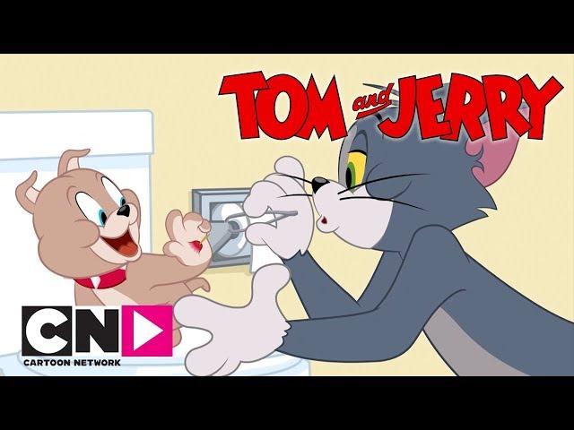 Kıymık | Tom ve Jerry Şov  | Boomerang Kuşağı