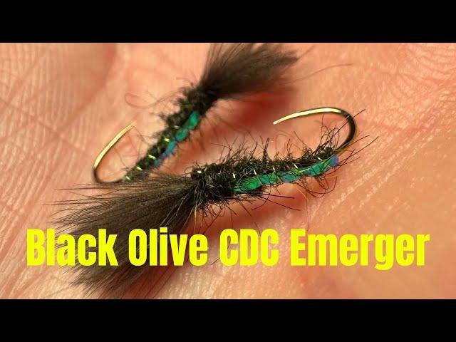 Black Olive - CDC Emerging Buzzer 🪰 #fishing #flytying #dryflyfishing #dryfly #flyfishing #trout