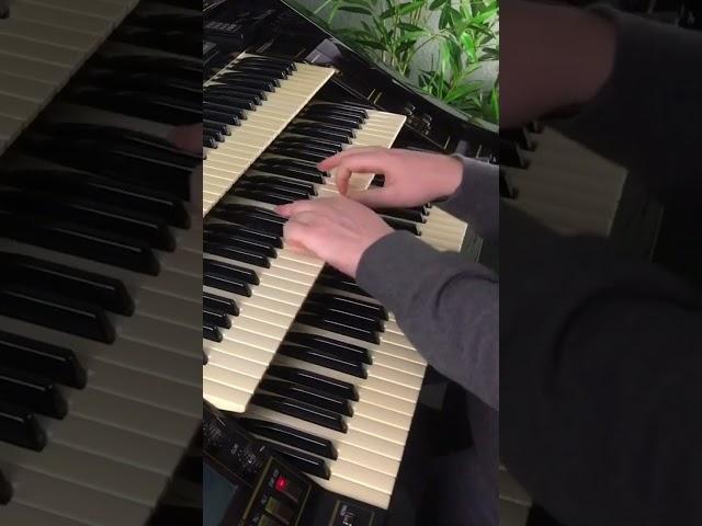 El Cumbanchero | Florian Hutter - Wersi Atlantis #shorts #organ #samba