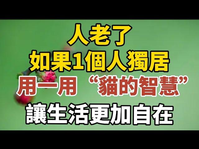 人老了，如果一個人獨居，用一用「貓的智慧」，就活通透了！【中老年心語】#養老 #幸福#人生 #晚年幸福 #深夜#讀書 #養生 #佛 #為人處世#哲理