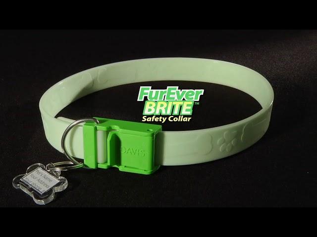 Davis FurEver BRITE SAFETY COLLAR светящийся ошейник для собак