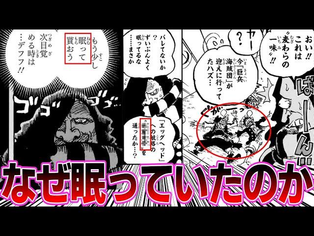 【最新1129話】麦わら一味がまさかの理由で眠っていたことが判明した読者の反応集【読者の反応集】