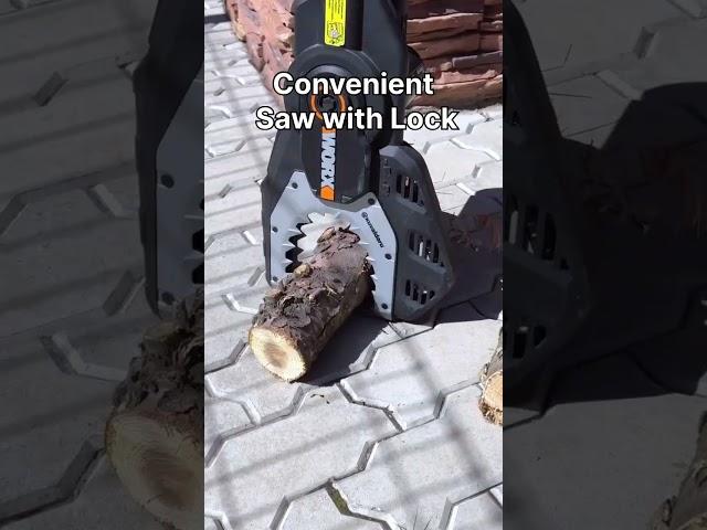 Convenient Saw with Lock