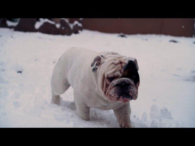 Does it snow in St George, Utah? |Southern Utah|Winter Storm2019