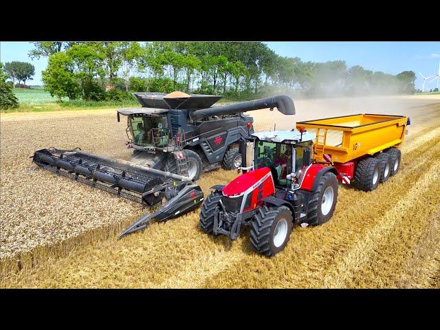 Wheat Harvest '24 | NEW MASSEY FERGUSON IDEAL 7 + MF 8S 305 | NIVU