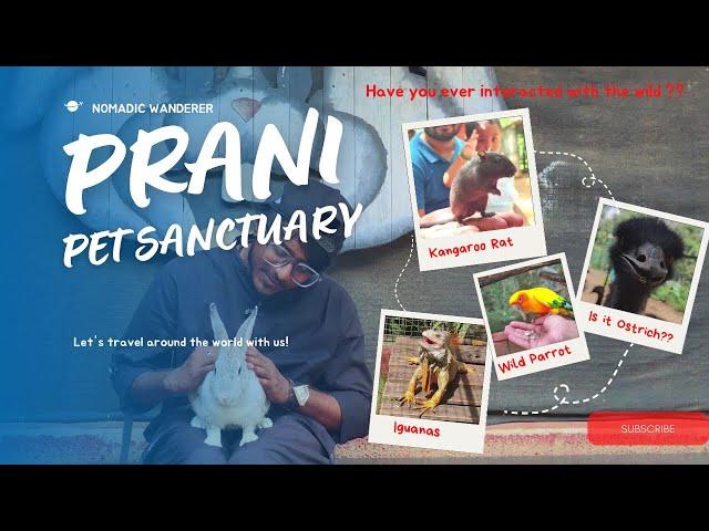 Into the Wild: A Journey through Prani Pet Sanctuary Bangalore| @NomadicWandererKSG