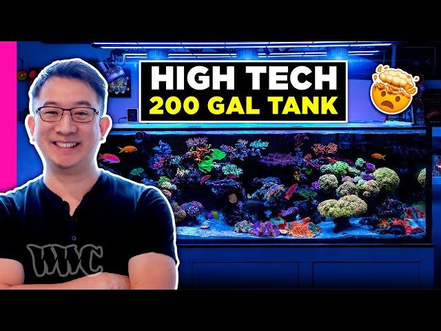 This guy Turned his OFFICE Into an INSANE Fish Room!! @bayarea_reef