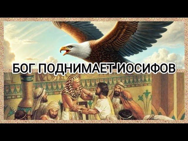 БОГ ПОДНИМАЕТ ИОСИФОВ - Рут Эстер Фурман