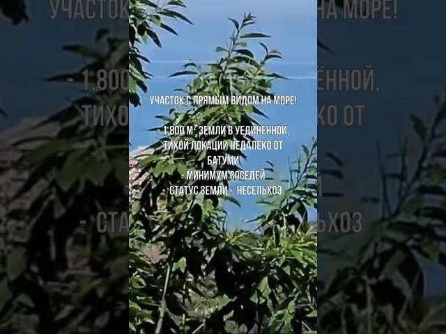 Участок с прямым видом на море в Грузии | Plot with direct sea view in Georgia