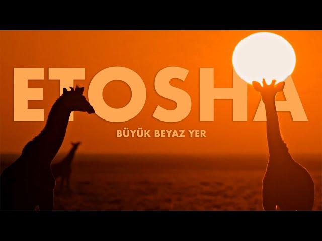 Etosha: Büyük Beyaz Yer | Namibya Günlükleri