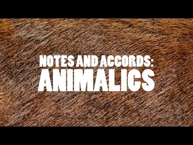 NOTES AND ACCORDS: ANIMALICS