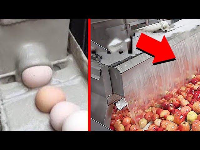 FABRİKALARDA YİYECEK ÜRETİMİ NASIL YAPILIYOR ?