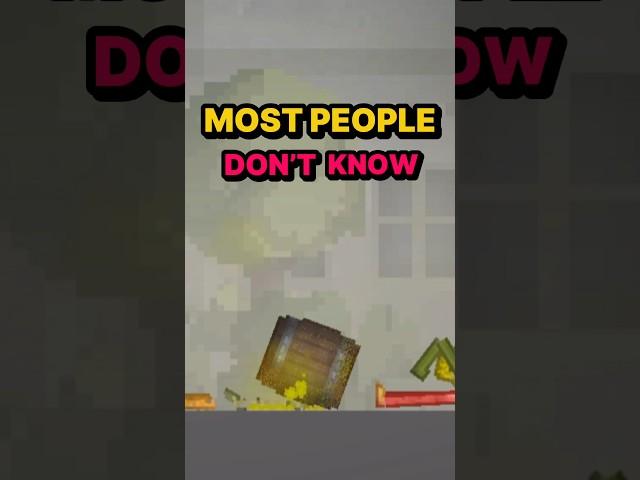 99.9% Of Melon Playground Players DON’T Know These Facts, Do You? 