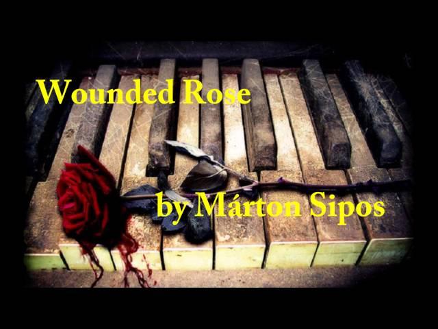 Márton Sipos: Wounded Rose