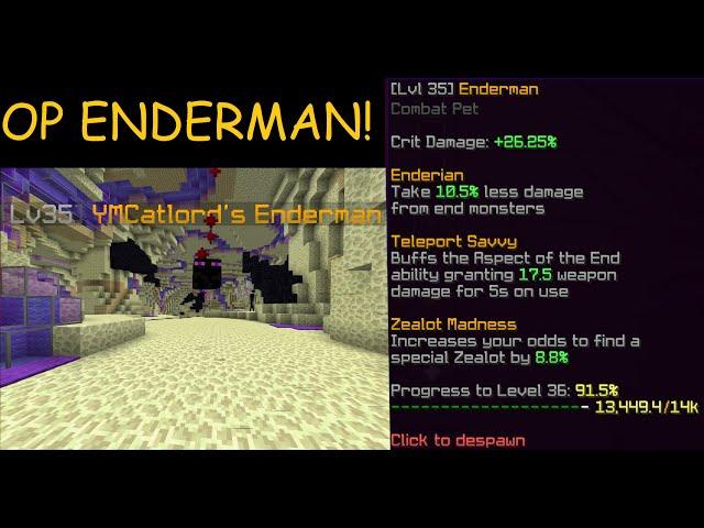 Hypixel Skyblock: FASTEST Way to Get Legendary Enderman Pet!