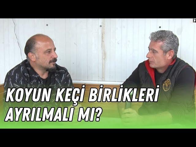 HEKİM GÖRÜŞÜ | HAYVANCILIK SEKTÖRÜNÜN GELECEĞİ İÇİN NELER YAPILABİLİR ?