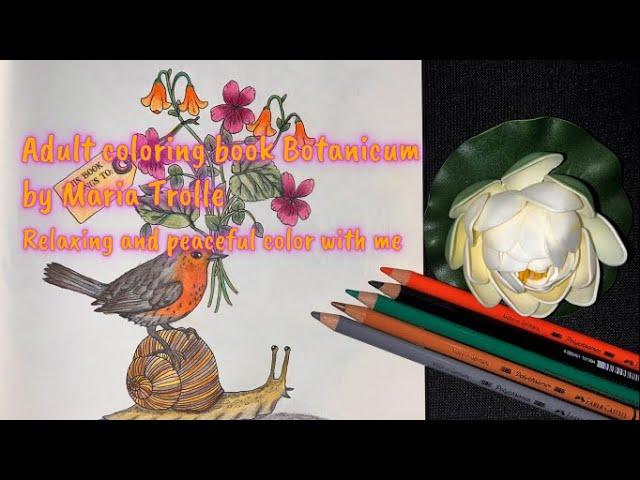 Relaxing and peaceful coloring | Adult coloring book Botanicum by Maria Trolle-Faber-Castell pencils