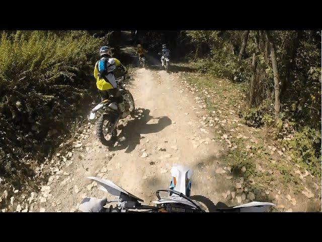 Enduro VS Downhill || Ktm exc 300/Husqvarna te 250/Husqvarna wr 125/specialized