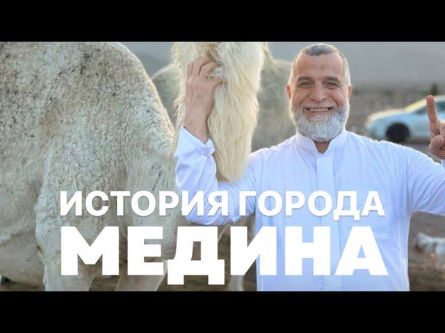 История города Медина, которую вы еще не слышали. Доктор Мохамад Хамед