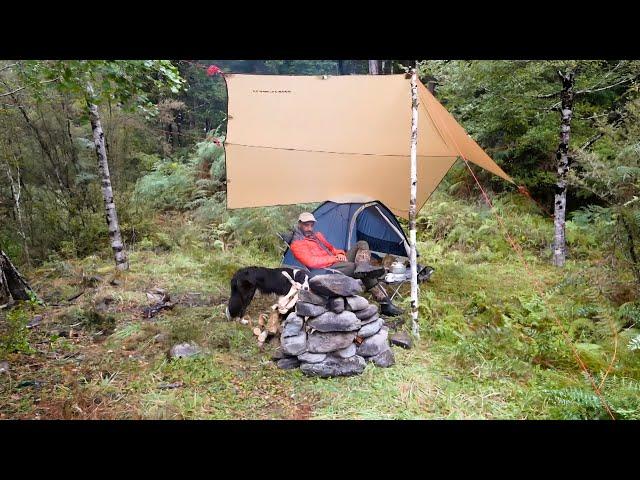 Camping in Rain with my Dog in Ultralight Tent