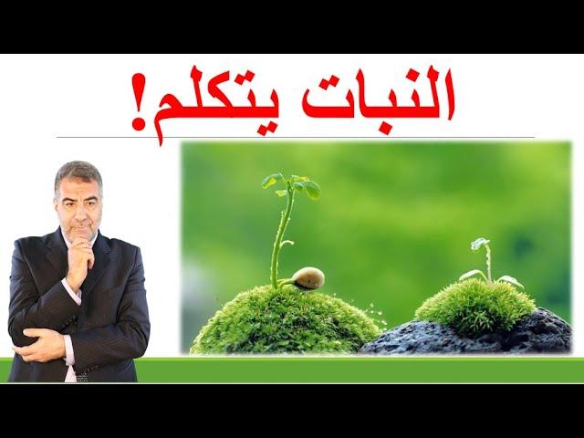 استغاثة النبات.. هل النبات يتكلم؟ |  عبدالدائم الكحيل