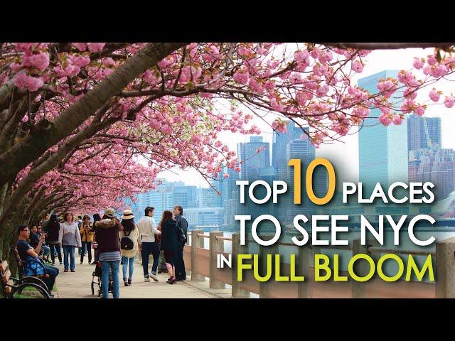 Top 10 Places To See NYC in FULL BLOOM