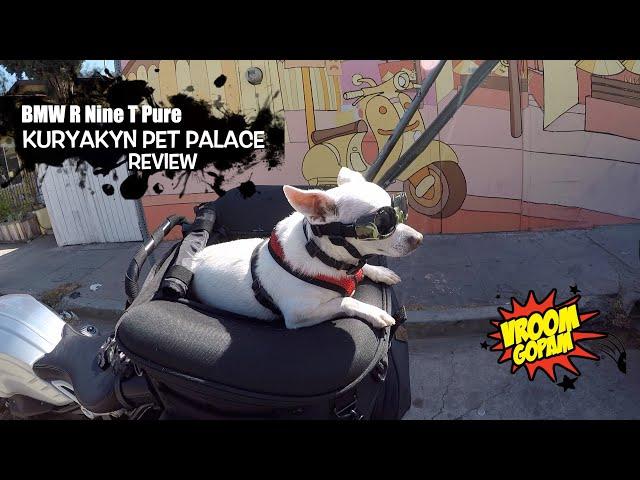 BMW R9t Kuryakyn Pet Palace for biker dogs review