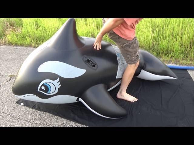 Over Inflating and Riding a Reinforced Intex Whale