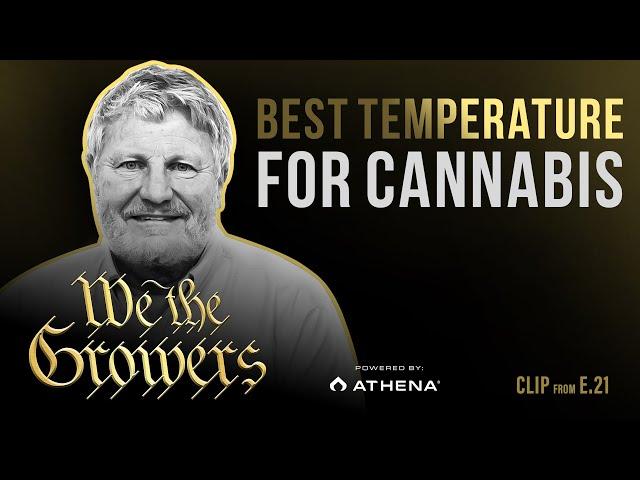 What Is The Best Temperature For Growing Cannabis?